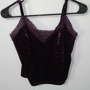 Velvet Lace Crop Top